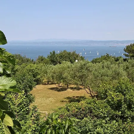 Apartman Klif